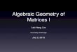 Algebraic Geometry of Matrices I - galton.uchicago.edulekheng/work/ictp1.pdf · why algebraic geometry possibly the most potent tool in modern mathematics applications to other areas