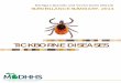 TICKBORNE DISEASES - Michigan · BABESIOSIS Several other tickborne diseases are associated with the blacklegged tick, and will likely emerge as populations of ticks expand. These