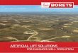 ArtificiAl lift SolutionS - borets.comborets.com/files/broshures/Borets_corporate_brochure_for_site.pdf · borets highlights 3 service capabilities 13 global footprint 4 artificial