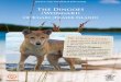Fraser Island Dingo - Queensland Sport and Recreation · The island provides a varied dingo diet, including fish, crabs, reptiles, ... Fraser Island Discovery Guide map. When staying