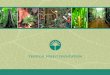 CONSERVING TROPICAL FORESTS RESPONSIBLE … · or produce wood products . Tropical Forests are Disappearing ©earthobservatory.nasa.gov . Causes of Deforestation 0 500 ... San Francisco,