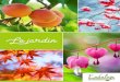 Le jardinjardineriedembaloge.fr/.../catalogue-jardinerie-embaloge-2017.pdf · Incontournable du jardin, le rosier apporte une note d’élégance à votre jardin ou à votre terrasse
