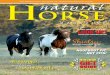 Natural Horse Magazine - equinevoices.org · The Quarterly Journal of Wholistic Equine Care ... What role do you see the horse ... person they are and what type of horse personality