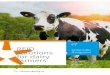 RFID - Nedap Livestock Management · 1.2 Nedap’s track record with RFID Nedap’s RFID solutions for the agricultural market are based on many decades of practical experience. We
