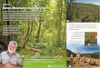 Bunya Mountains National Park Discovery Guide · Delight in a rainforest stroll, a mountain- ... Listen for the songs of forest birds and the croak of frogs ... Bunya Mountains National