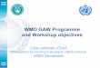 AREP GAW - World Meteorological Organization .AREP GAW WMO GAW Programme and Workshop objectives