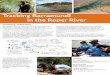 Tracking Barramundi in the Roper River · Tracking Barramundi in the Roper River Factsheet 1 - August 2016 This project aims to reveal the secrets of barramundi migration in our large