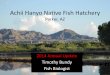 Achii Hanyo Native Fish Hatchery - LCR MSCP · Achii Hanyo Native Fish Hatchery Parker, AZ ... BTC/2012 4146 47 2206 2254 2.1 54.4 65.9 4 ... •RBS >300mm stocked at Cottonwood Cove
