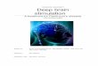 ROSKILDE UNIVERSITY Deep brain stimulation - … · 12. Wordlist ... PET - positron emission tomography PPN ... but powerful and changes to it can result in dramatic changes in behaviour