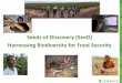 Seeds of Discovery (SeeD) Harnessing Biodiversity for …libcatalog.cimmyt.org/Download/cis/57892.pdf · Matthews, Iain Milne (JHI), Terrence Molnar, Moisés M. Morales (UdeG), Henry