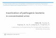 Inactivation of pathogenic bacteria in concentrated urine · Inactivation of pathogenic bacteria in concentrated urine ... Estimation of damaged parts ... – Non-hydrolyzed urine
