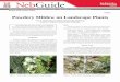 G2021 Powdery Mildew on Landscape Plantse · PDF fileG2021 Powdery Mildew on Landscape Plants. Amy D. Timmerman, ... Max™ Garden Disease Control ... Kresoxim­methyl Cygnus