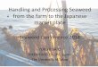 Handling and Processing Seaweed from the farm to …Sato.pdf · Handling and Processing Seaweed from the farm to the Japanese ... Handling and processing seaweed in Japan 3. ... Market