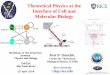 Theoretical Physics at the Interface of Cell and Molecular ... · Theoretical Physics at the Interface of Cell and Molecular Biology José N. Onuchic Center for Theoretical ... miR-34