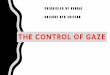 THE CONTROL OF GAZE - cocila.files.wordpress.com · 4/9/2017 · THE CONTROL OF GAZE. WHICH PART OF BODY ALWAYS MOVES? WHAT’S THE POINT? We want to understand the mechanisms of