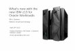 What’s new with the new IBM z13 for Oracle Workloads · Oracle Pricing With Linux on z Systems and z13 For Oracle Enterprise Edition (EE) Database and Core Based Pricing : (Standard