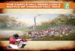 THE CASTLE HILL REBELLION & BATTLE OF VINEGAR … · a brief history of The Castle Hill Rebellion & Battle of Vinegar Hill B ... an uprising in 1798 in Ireland’s Wexford ... rebellion