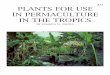 #31 PLANTS FOR USE IN PERMACULTURE IN THE TROPICS · Multiple Uses of Food Crops for Permaculture in the Tropics 6 Cereal Grains 6 Legumes 6 Root Crops 7 Fruit Vegetables 7 Edible
