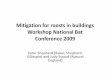 Mitigation for roosts in buildings ps final.ppt [Read · PDF fileMitigation for roosts in buildings Workshop National Bat ... Mitigation for roosts in buildings ps final.ppt [Read-Only]