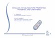 BACILLUS AS AQUACULTURE PROBIOTICS: POTENTIAL AND LIMITATIONS · 2005-09-21 · BACILLUS AS AQUACULTURE PROBIOTICS: POTENTIAL AND LIMITATIONS O. Decamp INVE TECHNOLOGIES nv, ... Bacillus