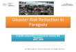 Disaster Risk Reduction in Paraguay - UNISDR · Disaster Risk Reduction in Paraguay A model using Sendai Framework for Disaster Risk Reduction 2015 - 2030 Dr. Raúl Latorre. General