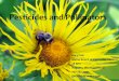 Pesticides and Pollinators - maine.gov€¦ · Pesticides and Pollinators ... ∗Insecticides: ∗In 1984 it was all organophosphates and carbamates ... ∗Mixed Vegetables 6,000?