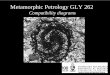 Metamorphic Petrology GLY 262 - Weeblygeologypapers.weebly.com/uploads/3/7/0/9/37096201/gly_262_prof... · Metamorphic Petrology GLY 262. ... modern metamorphic petrology. ... Turner