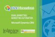 EMAIL MARKETING and MARKETING AUTOMATION .EMAIL MARKETING and MARKETING AUTOMATION for Microsoft