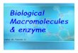 Biological Macromolecules & enzyme - JUfilesjufiles.com/wp-content/uploads/2016/05/03.Macromolecules.Lab... · 2 Macromolecules Examples: 1. Carbohydrates 2. Lipids 3. Proteins 4