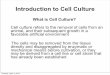 Introduction to Cell Culture - shunu...  Introduction to Cell Culture What is Cell Culture? Cell