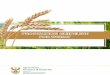 PRODUCTION GUIDELINE FOR WHEAT and Production... · PRODUCTION GUIDELINE FOR WHEAT agriculture, forestry & fisheries Department: Agriculture, Forestry and Fisheries ... optimal grain