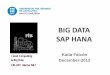 BIG DATA SAP HANA - Jordi Torres · BIG DATA SAP HANA . Katia Falcón . December-2012 . 2 ... Row Oriented Database . Column Oriented Database . 13 . SAP HANA Architecture 