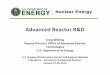 Advanced Reactor R&D - files.ctctcdn.comfiles.ctctcdn.com/14bf1850201/78f8c3df-5459-41c0-8408-544c6008bf6… · Minimize the risks of nuclear ... (GDC) for non-light water reactor