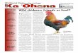 Inside Wild chickens: Friends or fowl? - Ka 'Ohanakaohana.windward.hawaii.edu/pdfs/issue-pdfs/2011-11.pdf · Wild chickens: Friends or fowl? ... psychological, sexual, emotional,