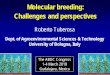 Molecular breeding: Challenges and perspectives · Issues for using molecular breeding in crop improvement. ... for the improvement of multiple traits - Genetic dissection of the
