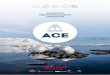 ANTARCTIC CIRCUMNAVIGATION EXPEDITION - … · About thE AntArCtiC CirCumnAvigAtion ExpEdition (ACE) ACE is the first project of the Swiss Polar Institute, a newly created entity