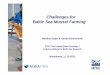 Challenges for Baltic Sea Mussel Farming - eucc-d.de Projekte/Aquafima... · Socio-economic factors ... cyanobacteria (Mycrocystis, Anabaena) in summer ... Microsoft PowerPoint -