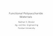 Functional Polysaccharide Materialsdels.nas.edu/resources/static-assets/bcst/miscellaneous/Glyco... · Functional Polysaccharide Materials Nathan S. Mosier ... Green Chem., 2010,