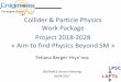 Collider & Particle Physics Work Package Project … · Collider & Particle Physics Work Package Project 2018-2028 ... jet-jet and photon-hadron/jet correlations measurements 