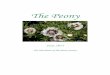 The Peony - Martin Page Peo… · Subscriptions to The Peony Society are £15.00 a year for individuals ... ‘Charming Age’, ‘Satin Rouge’, Peonia ostii, and ... ‘L'Aurore’