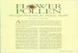 Powerful Protection for Prostate Health - … POLLEN.pdf · Powerful Protection for Prostate Health ... benign prostatic hyperplasia treat- ... are prescribed for benign prostat-ic