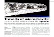 Travails of microgravity - Stanford University amatin/MatinLabHomePage/PDF/SMG... · PDF fileVolume 52 Number 2, May 2005 Biologist Travails of microgravity |IOB month and are, as