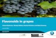 Flavonoids in grapes - awri.com.au · • Flavonoids are important for the colour & taste of wine • Tannins are the major flavonoid present in grapes and wine • Tannins plus anthocyanins