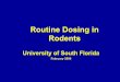 Routine Dosing in Rodents - usf.edu · • Held between "v" formed by index and second finger. • Supported by thumb and ring finger under elbows. USES/ADVANTAGE • Intraperitoneal