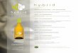 hybrid Chardonnay Accolades - Webydo · 2016-07-15 · AWARDS & ACCOLADES - LODI APPELLATION ... 2016 - '15 CHARDONNAY 86 POINTS I BRONZE - California State Fair Commercial Wine Competition