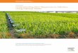 WHITEPAPER Understanding Plant Responses to Infection ... · Understanding Plant Responses to Infection, Using Pathway ... by agents such as rice blast M.grisea. INTRODUCTION 