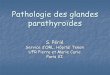 Pathologie des glandes parathyro¯    Pathologie des glandes parathyro¯des ... types