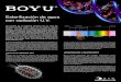 Esterilización de agua con radiación U.V.ideasmarinas.com/archivo/informe_uv.pdfDentro de la Radiación UV-C (y exactamente a 254 µm/cm2) se descubrió no hace mucho que al irradiar