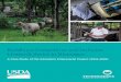 Building a Competitive and Inclusive Livestock Sector … · Inclusive Livestock Sector in Nicaragua,” a case ... Building a Competitive and Inclusive Livestock Sector in ... the