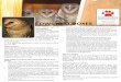 OWL NEST BOXES - Endangered Wildlife Trust factsheets/bop/Owl nest box.pdf · OWL NEST BOXES Why attract owls to one’s garden? There are several ... Importantly, they can assist